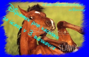 Obrazek
